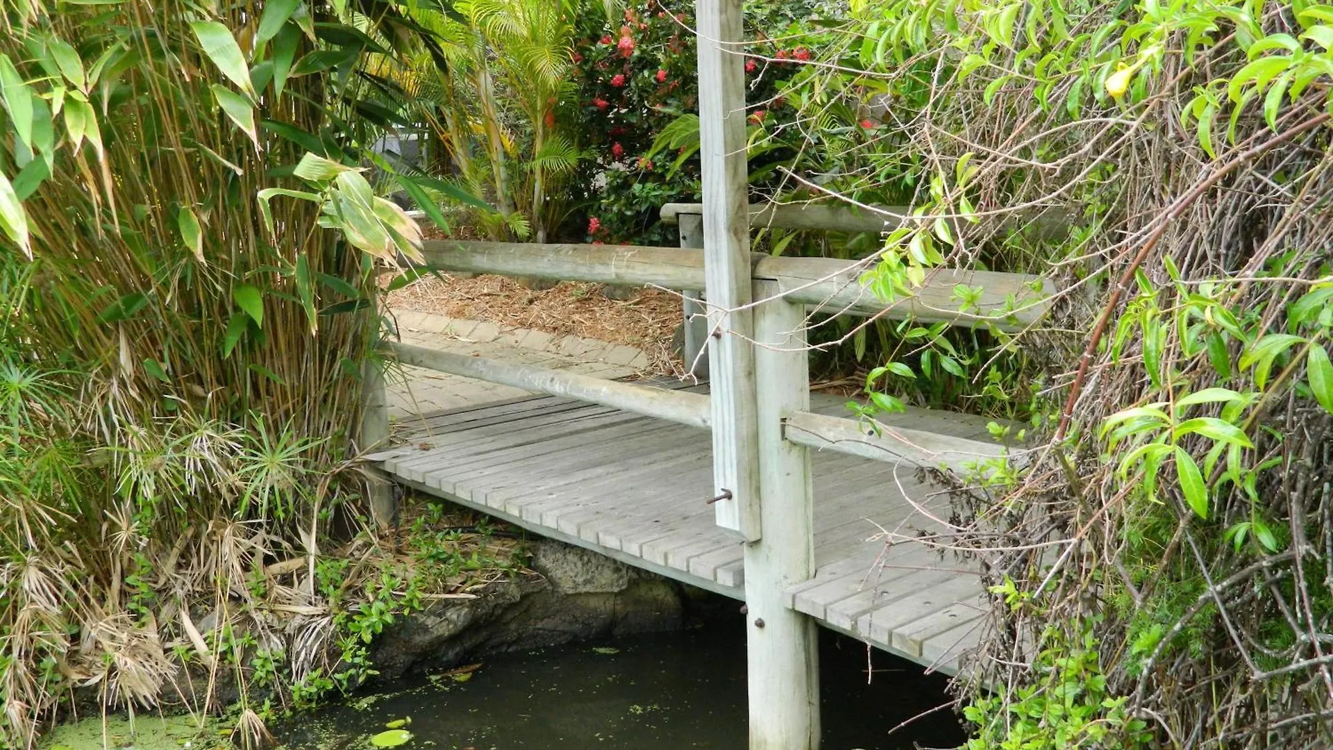 Kellys Beach Resort Bargara
